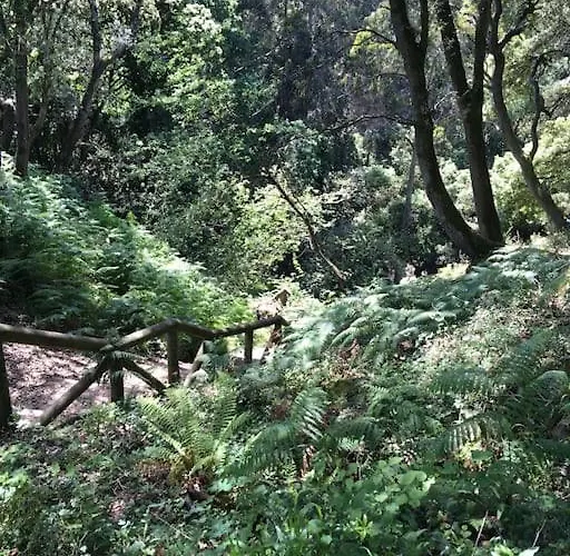 Martin Appartamento *